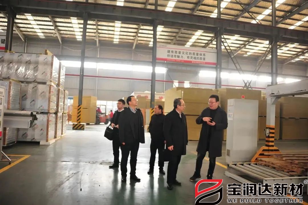 懷寧縣委領(lǐng)導蒞臨寶潤達參觀交流